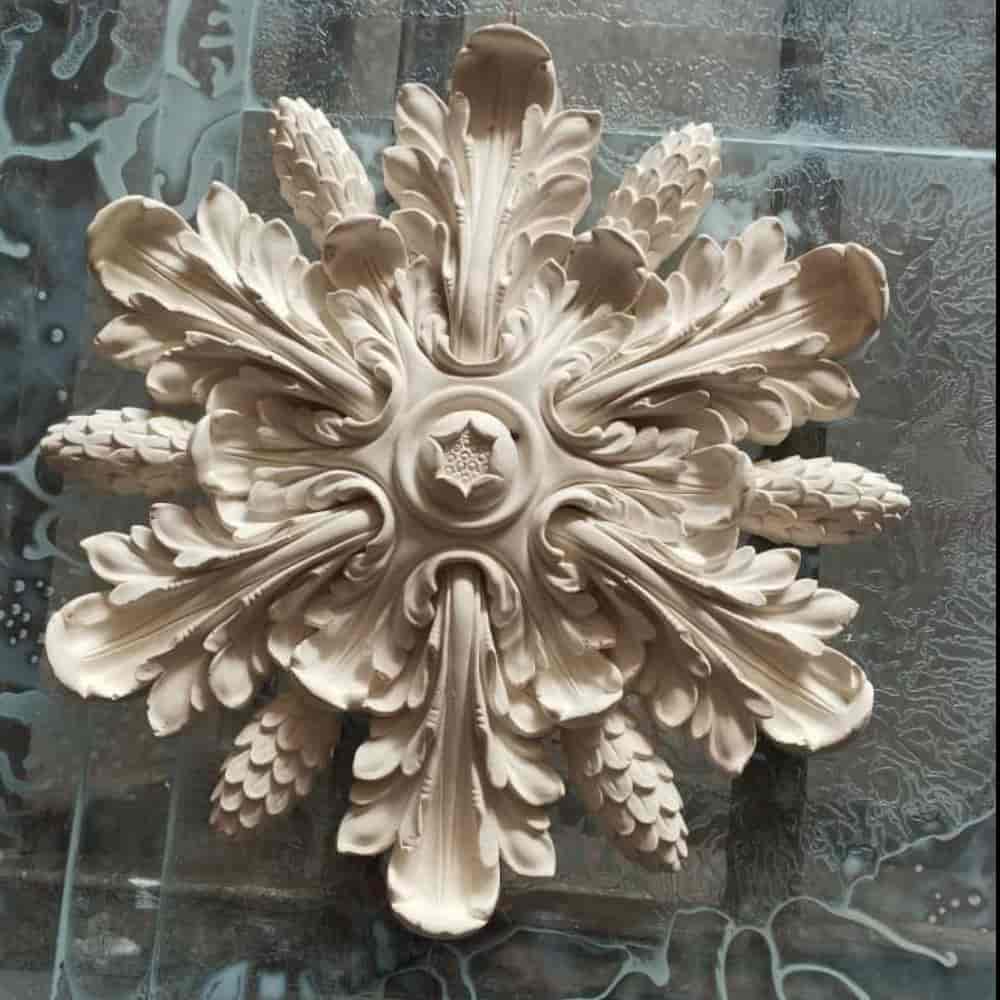 سینی کاکتوس